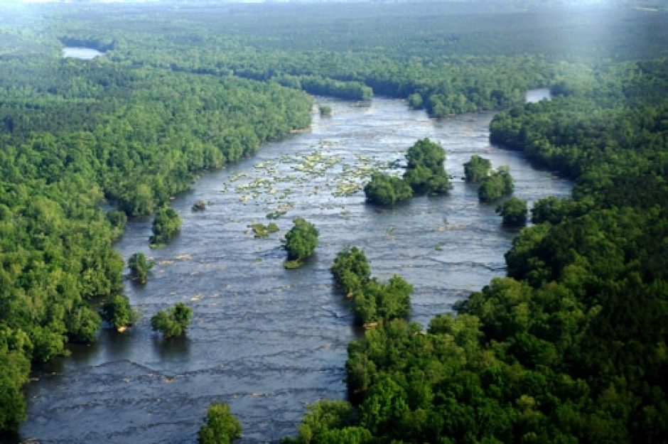 Landsford Canal State Park, Lancaster County. These are the shoals where the rare Rocky Shoals Spider Lilies appear each spring. You can see clumps of lilies in the water in this aerial photo.