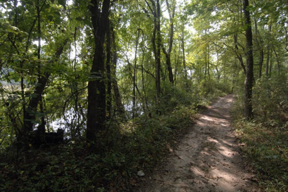 Banks of the Catawba River on the Catawba Indian Reservation, York County.