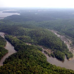 Cedar Creek Reservoir (Stumpy Pond) near Great Falls, SC. This is the 1900-acre Heritage Tract, protected for a future State Park by Katawba Valley Land Trust