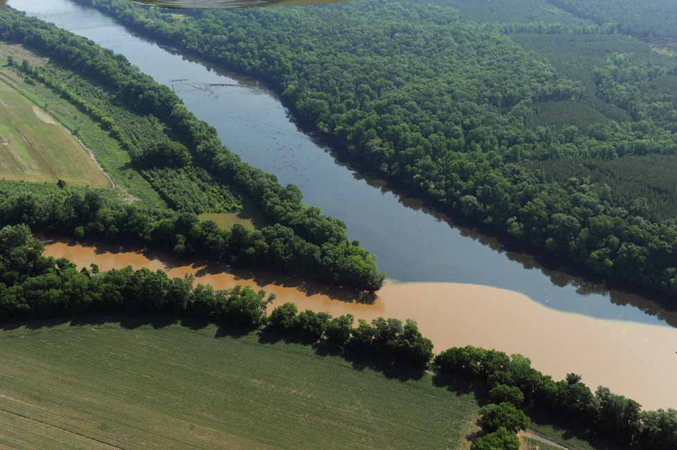 The confluence of the Rocky River (brown) and Pee Dee River.