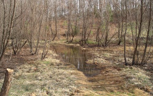 Meandering channel behind the old dam.  