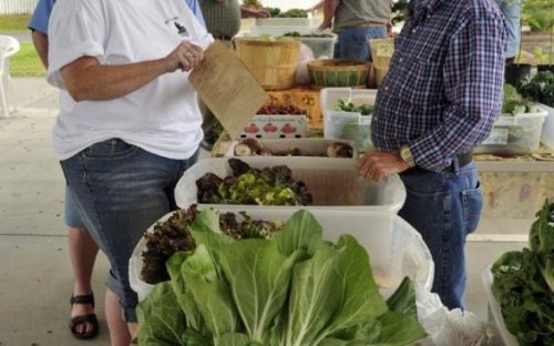 Lincoln County Farmers Market (Lincolnton)