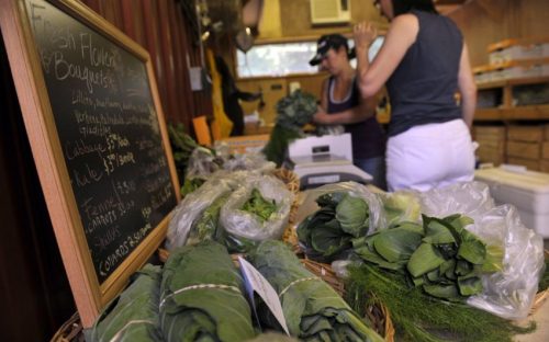 Poplar Ridge Farm (Union County) - Inside the shed where people pick up their produce.