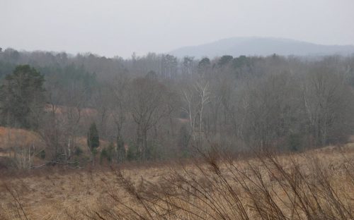 Uwharries landscape in winter. Photo by Ruth Ann Grissom