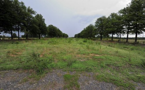 City Park in Charlotte (site of the former Charlotte Coliseum southwest of uptown)