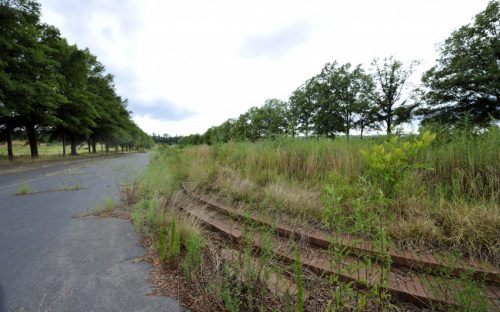 City Park in Charlotte (site of the former Charlotte Coliseum southwest of uptown)