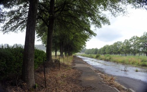 City Park in Charlotte (site of the former Charlotte Coliseum southwest of uptown)