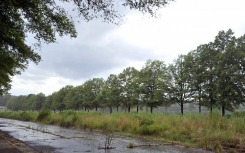 City Park in Charlotte (site of the former Charlotte Coliseum southwest of uptown)