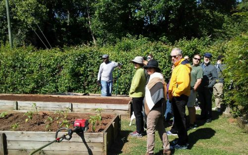 Walk leader John Howard takes the group past the Revolution Park neighborhood garden along a greenway beside Irwin Creek on the May 6 Walk on the West Side. Photo: John Howard