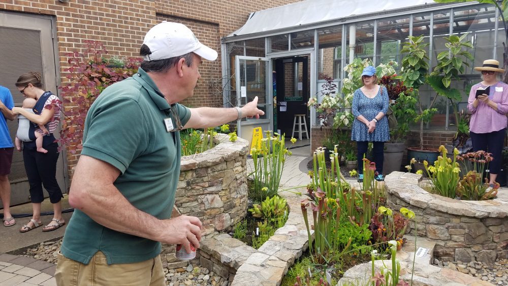 People explore UNC Charlotte's greenhouse. Photo: Elaine Jacobs.