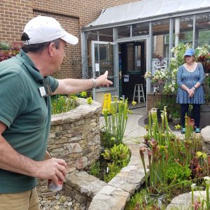 People explore UNC Charlotte's greenhouse. Photo: Elaine Jacobs.