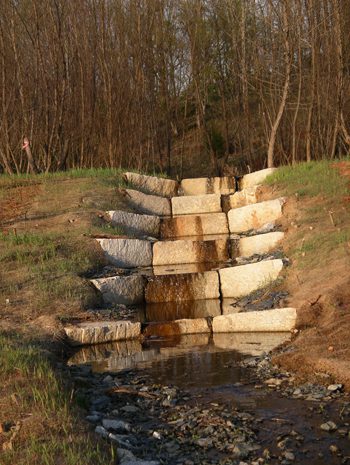 The finished structure the following spring.