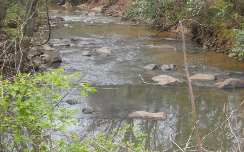  Fitz Lee A creek, hidden from view, behind Myers Park High School. See article below for comments on the scene. Photo: Fitz Lee