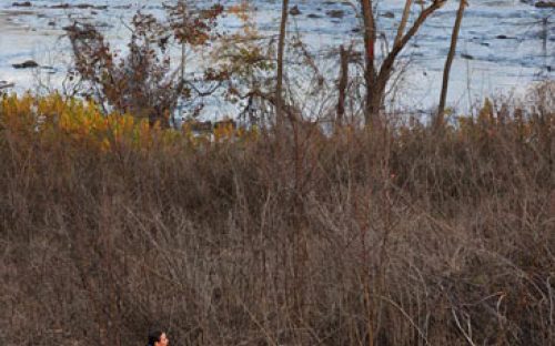 Two friends jog with a young child along the Piedmont Medical Center Trail at Riverwalk in Rock Hill (November 2011).