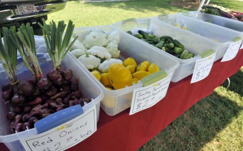 Davidson Farmers Market