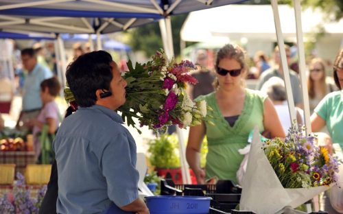 Davidson Farmers Market - Flowers