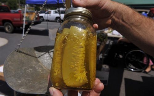 Rotary Farmers Market (Statesville)