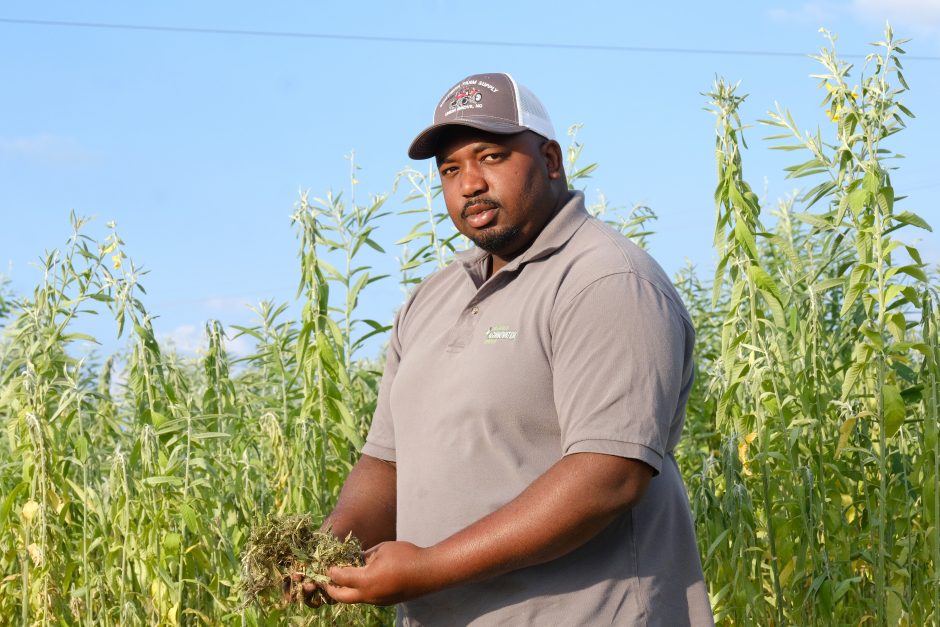 Davon Goodwin is manager of Sandhills AGInnovation Center in Ellerbee, NC Behind him is a hemp cover crop. Photo: Nancy Pierce