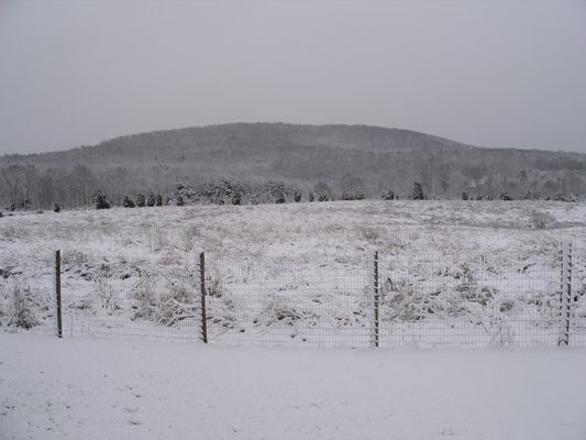 Winter scene in the Uwharries. Photo by Ruth Ann Grissom.  