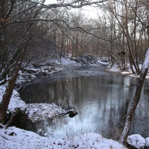 The Uwharrie River.  Photo by Ruth Ann Grissom.