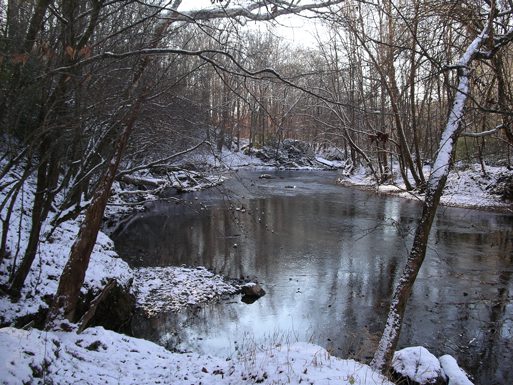 The Uwharrie River. Photo by Ruth Ann Grissom.