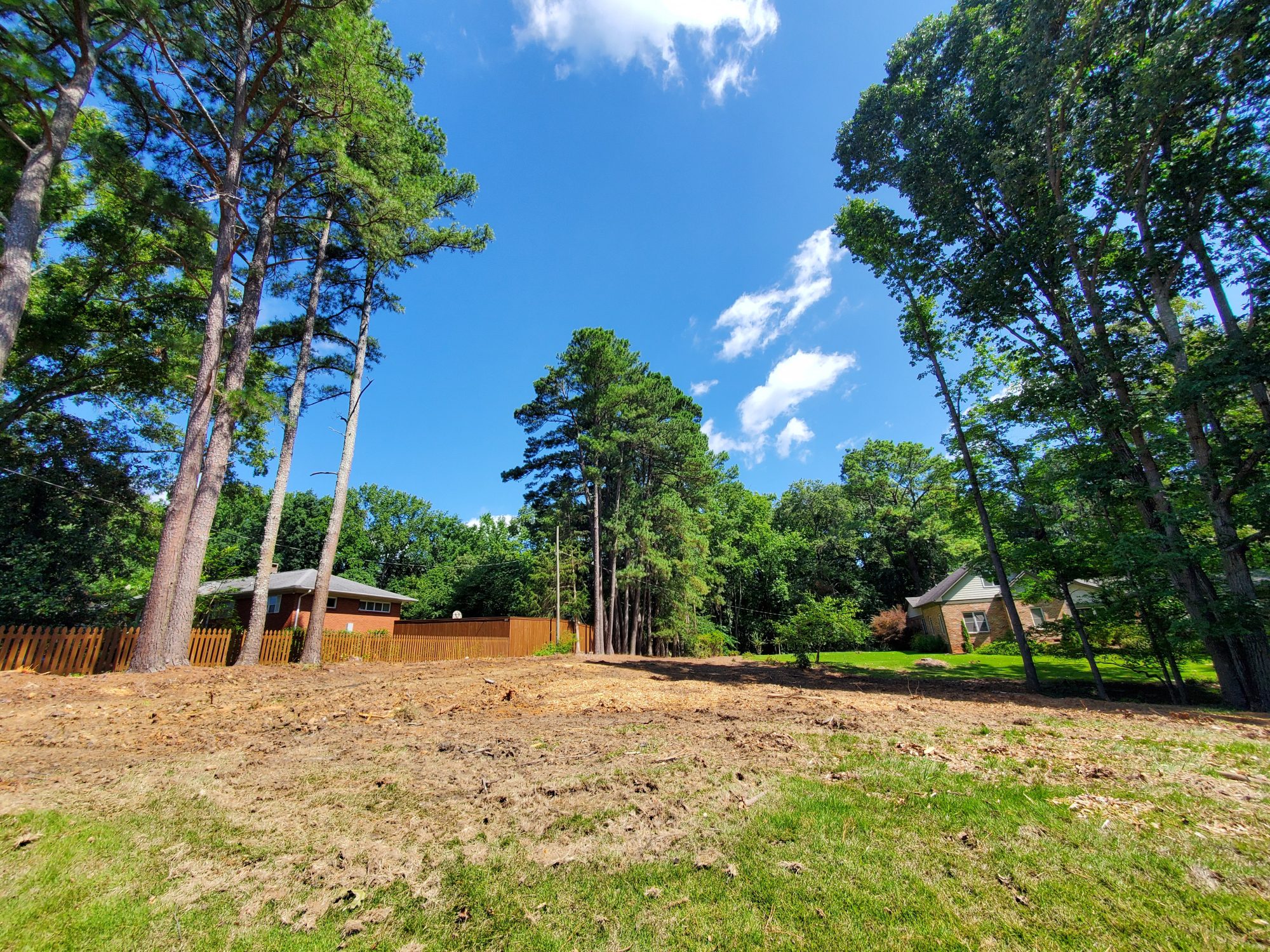 A lot with trees cut for single-family development