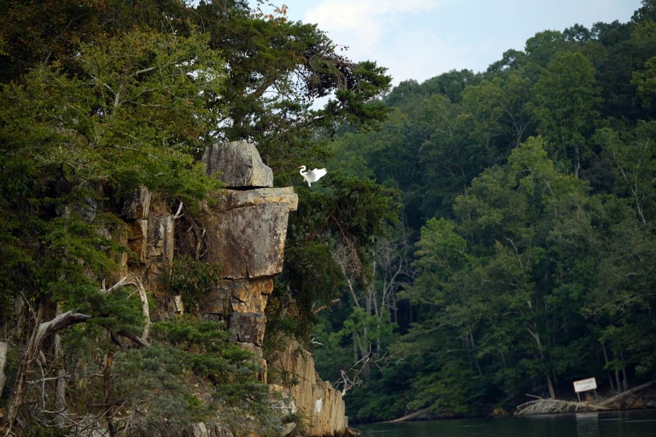 Small, rocky cliffs on the Falls Reservoir near Badin. Photo: Nancy Pierce. 