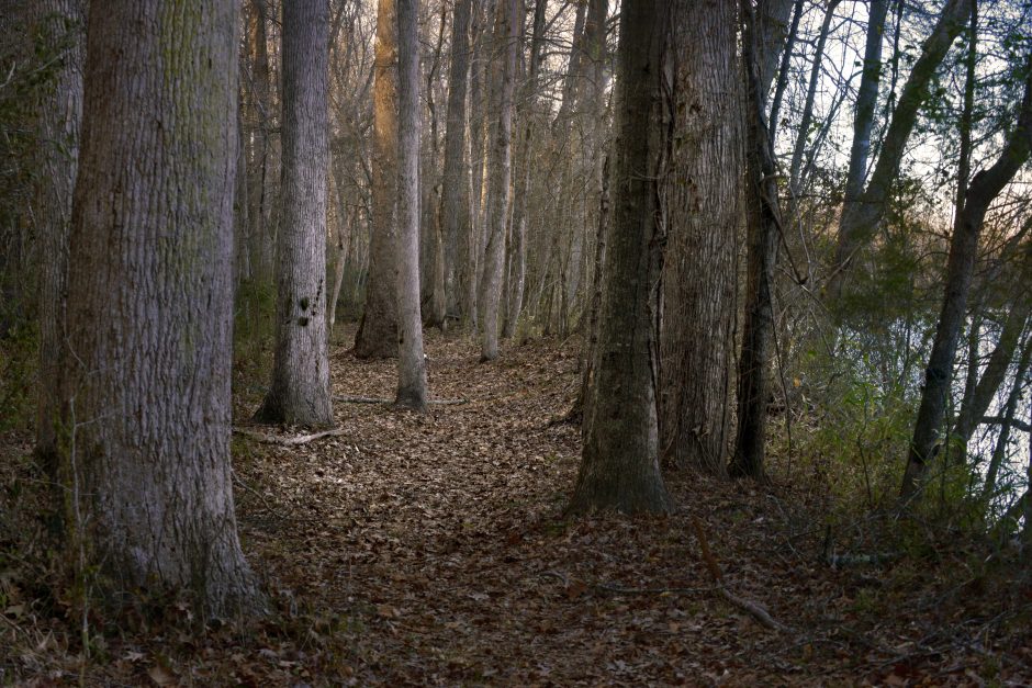 Catawba Nation Greenway on the Catawba Reservation near Rock Hill, South Carolina. The trail is part of the Carolina Thread Trail and runs along the Catawba River, the historic homeland of the Catawba Indian Nation. Photo: Nancy Pierce