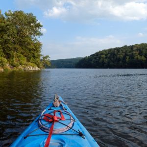 The view paddling on the Falls Reservoir near Badin. Photo: Nancy Pierce