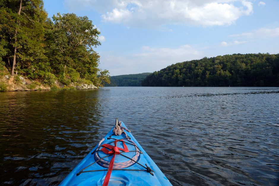 The view paddling on the Falls Reservoir near Badin. Photo: Nancy Pierce