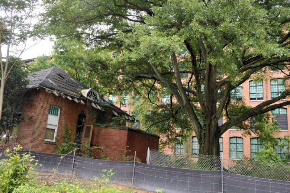 Loray Mill today: The foreground building here will get a new roof, preserving the dormers, and the tree will stay. The building is designated for a restaurant. Photo: Nancy Pierce